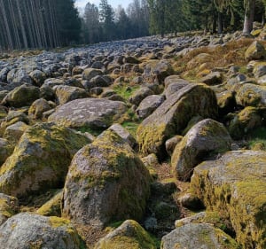 Le Champ de Roches par les Gouttelles - Arrentès-de-Corcieux - 4