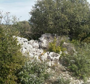Balade entre Fontaine de Vaucluse et le Mur de la Peste - Lilian - 5