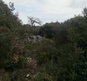 Balade entre Fontaine de Vaucluse et le Mur de la Peste - Lilian - 3