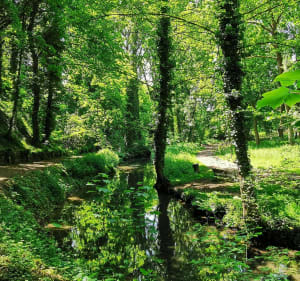 Le sentier du Mont Saint Vaast - Denis - 5