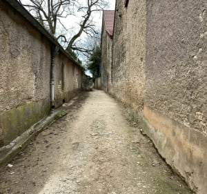 Sortie à Chenôve dans les vignes et le vieux village - Chenôve - 3