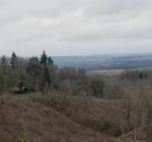 Wandelen in het bos van Argonne. - Châtel-Chéhéry - 4
