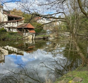 Balade en forêt au Mont Griffon et l'île Panchout - Yerres - 3