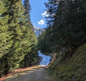 Korte wandeling in de Boréonvallei - Saint-Martin-Vésubie - 4