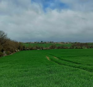 La Tournée du facteur au départ de Chevannes - Chevannes - 4