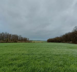 La Tournée du facteur au départ de Chevannes - Chevannes - 5