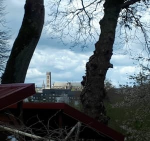 Limoges - le long de l'Auzette et de la Vienne - Limoges - 3