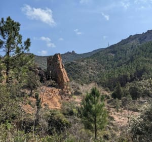 Pic de l'Ours depuis le col des Lentisques et découverte de l'Estérel - Saint-Raphaël - 4