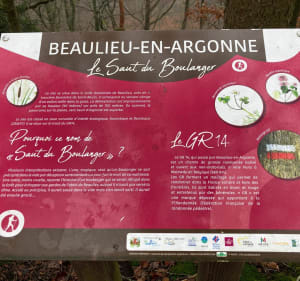 Par la Tranchée de St-Rouin à Beaulieu-en-Argonne - Beaulieu-en-Argonne - 3