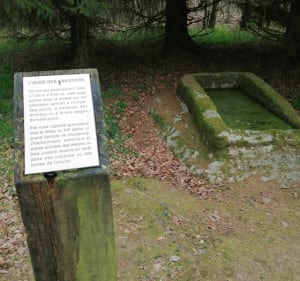 Les petits monuments de Trans la forêt - Bazouges-la-Pérouse - 5