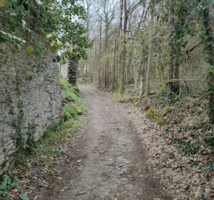 Toute la beauté des Basses Vallées à St Saturnin sur Loire - Brissac-Loire-Aubance - 5