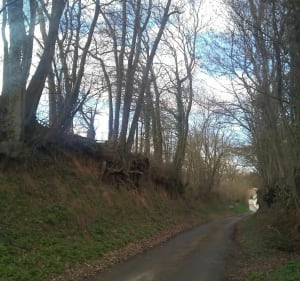 Boucle de Saint-Aubin par Bois Plisson - Saint Aubin sous Erquery - 3