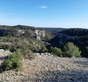 Circuit VTT pour tous entre Cheval-Blanc et Mérindol - Cheval-Blanc - 3