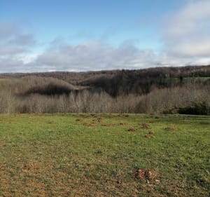 Boucle de Monein - Monein - 4
