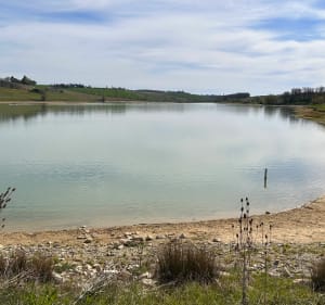 Le tour des deux Lacs, par Verfeil et Montastruc - Garidech - 5