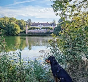 La familiale : flânerie entre bord de Saône, champs et canal à VTC - Seurre - 3