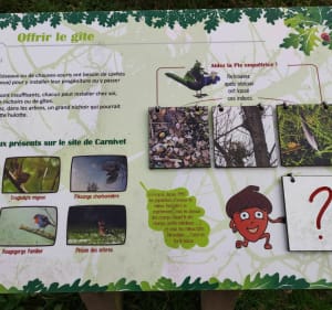 Le tour de l'Arboretum de Quessoy - Quessoy - 3