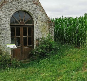 Circuit des Chapelles de Coutiches - Coutiches - 5