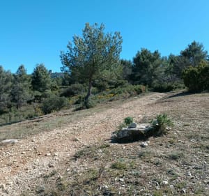 Tour VTT facile dans les collines de Simiane - Bouc-Bel-Air - 4