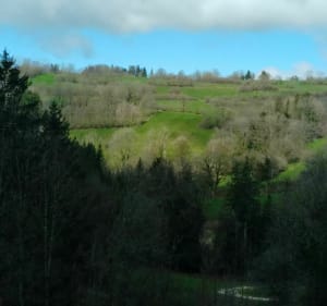 Rond de Moulin du Saut en de waterval Maïlys-Nozeroy - Nozeroy - 5