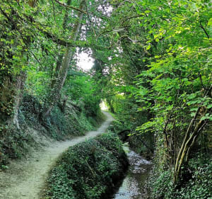 Le sentier des Poilus et la colline de Notre-Dame de Lorette - Souchez - 4