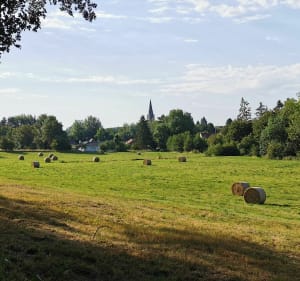 Le sentier des Poilus et la colline de Notre-Dame de Lorette - Souchez - 5