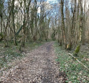 Balade de la mare aux loups - Grosley-sur-Risle - 3