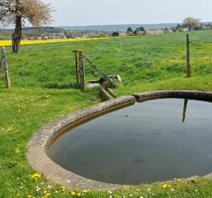 Entre Aubevoye et Villers-sur-le-Roule - Le Val-d'Hazey - 5