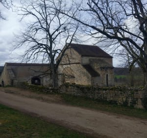 Boucle du vignoble inversée au départ d'Asquins - Asquins - 5