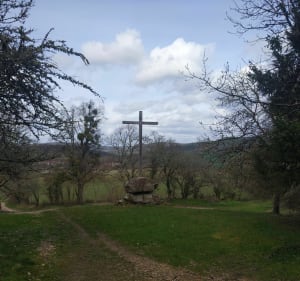 Boucle du vignoble inversée au départ d'Asquins - Asquins - 3