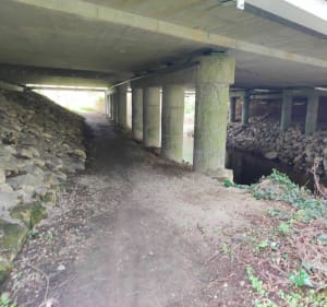 Balade en sud Gironde en VTC - Preignac - 3
