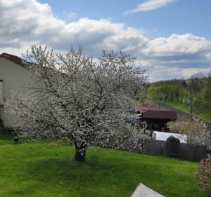 Randonnée à Rettel - Rettel - 5