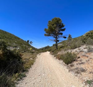 Balade dans la chaîne de l’Estaque - Châteauneuf-les-Martigues - 5