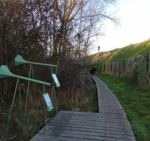 Balade de la Membrolle sur Choisille vers Fondettes - La Membrolle-sur-Choisille - 4