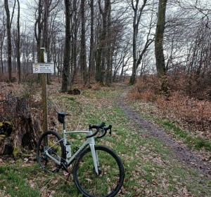 Sarreinsming, Villa Gallo-Romaine à VTT - Sarreguemines - 3