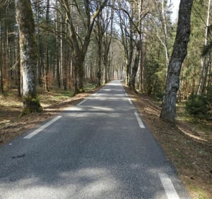 Aux deux chèvreries de Windstein et de Niedersteinbach à vélo - Gœrsdorf - 3