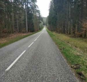 Aux deux chèvreries de Windstein et de Niedersteinbach à vélo - Gœrsdorf - 4