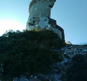 A la découverte des deux frères, forêt de Janas - Six-Fours-les-Plages - 5