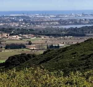 Garrigue et Forêt communale de Poussan à VTC - Cournonsec - 4