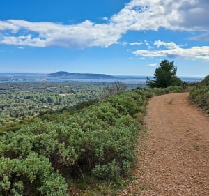 Garrigue et Forêt communale de Poussan à VTC - Cournonsec - 5