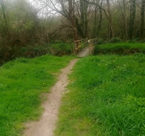 Locminé et sa campagne en passant par le Tarun - Locminé - 4