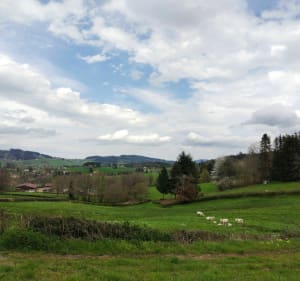 Autour du bois noir de Chauffailles - Chauffailles - 3