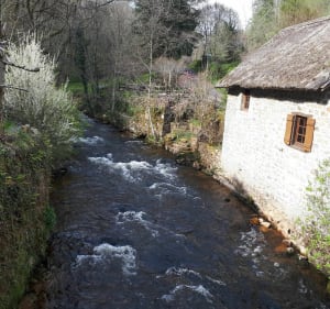 Gimel circuit en forêt - Gimel-les-Cascades - 5