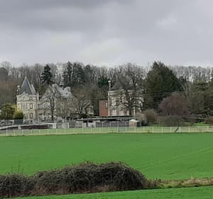 Aux portes de Chinon - Saint-Benoît-la-Forêt - 3