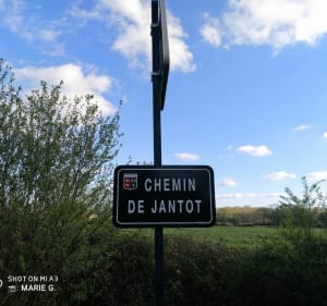 Balade chemin de Halage Bassussary - Marie G. - 3