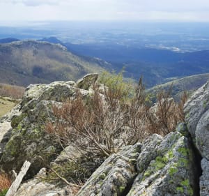 De Neulos-piek vanaf de Ouillat-pas. - Laroque-des-Albères - 5
