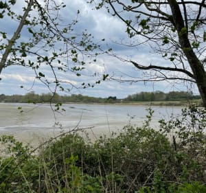 Veilleins bois et étangs, très jolie balade en Sologne - Veilleins - 5
