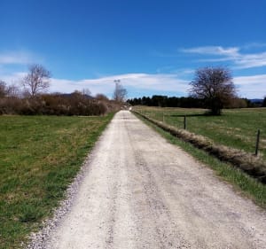 VTT bucolique sur le plateau de Sault - Espezel - 4