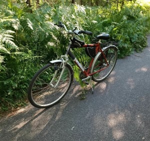 Grand tour en forêt de Rambouillet par Locacycles - Stephane - 3