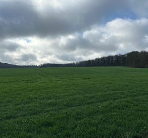 Balade autour de Saint-Cyr-sous-Dourdan - Saint-Cyr-sous-Dourdan - 3